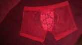 CUECA BOXER TRANSPARENTE